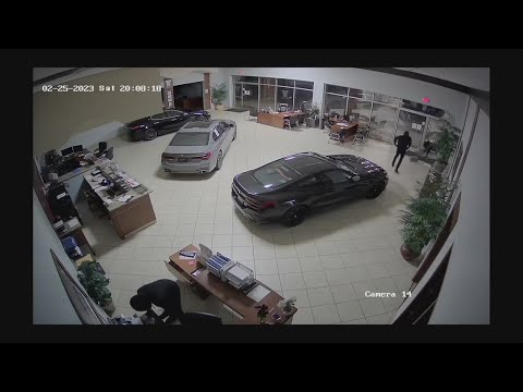 Thieves steal $100K BMW, luxury cars from dealership showroom!