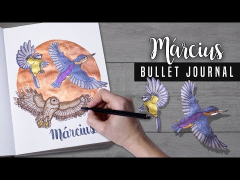 Bullet Journal [MAGYAR] 2018 Március DIY | March Plan With Me