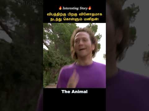 An animal man who behaves strangely / Hollywood movie explained #shorts