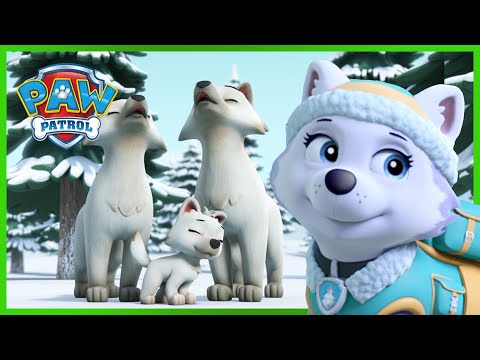 A fehér farkas megmentése - Mancs Őrjárat - PAW Patrol epizód Magyar rajzfilmek gyerekeknek