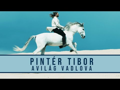Pintér Tibor  - A világ vadlova