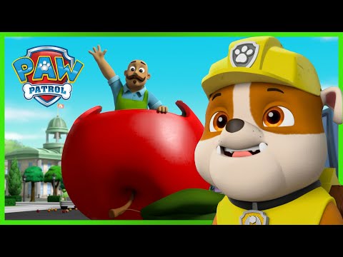 A mókusok megmentése - Mancs Őrjárat - PAW Patrol epizód Magyar rajzfilmek gyerekeknek