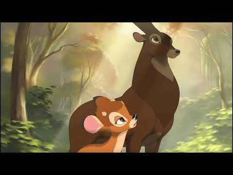 Bambi 2. - Élet vár (mese vége)