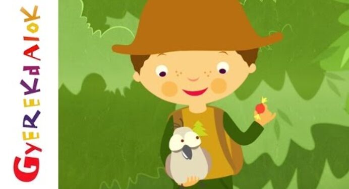 Erdő, erdő, erdő (Gyerekdalok és mondókák, rajzfilm gyerekeknek)