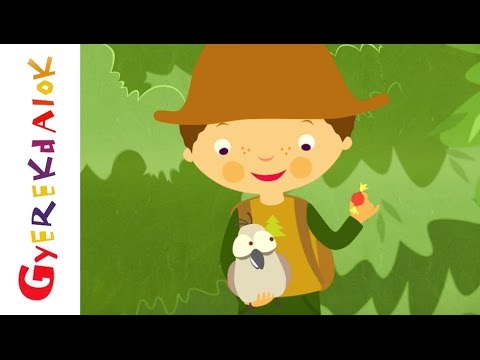 Erdő, erdő, erdő (Gyerekdalok és mondókák, rajzfilm gyerekeknek)