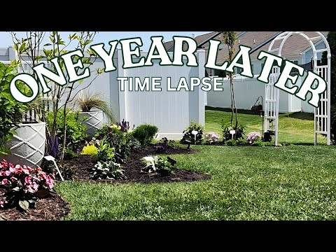 ONE YEAR LATER//DO IT YOURSELF LANDSCAPE//TIMELAPSE