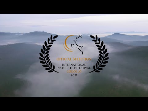 VADVÁLTÓ - Rövid magyar dokumentumfilm / természetfilm