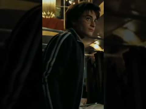A híres lila Kóbor Grimbusz, a Harry Potter és az Azkabani Fogoly című filmből. 💜 Videó a csatornán!
