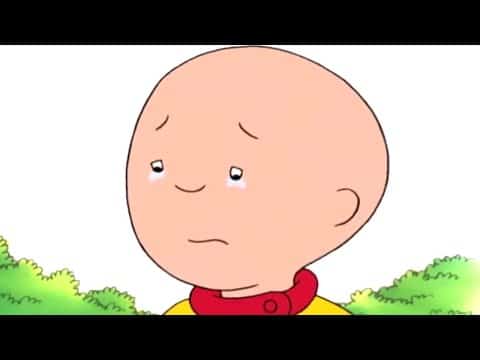 Caillou Clan Tryouts