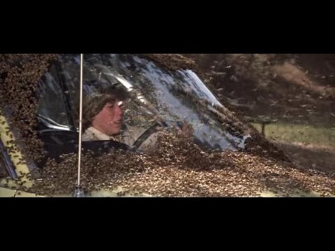 Rajzás(1978) teljes film magyarul, katasztrófa, horror, dráma
