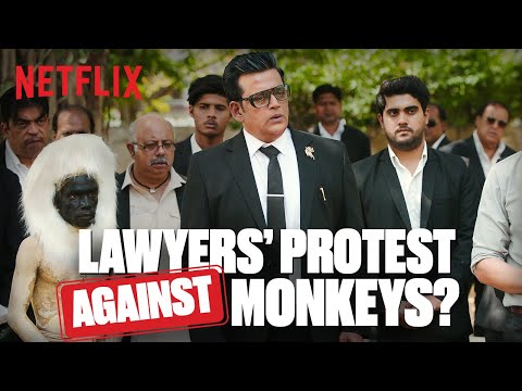 Ravi Kishan & The Lawyers Go On STRIKE Against Monkeys 😱 in Maamla Legal Hai!