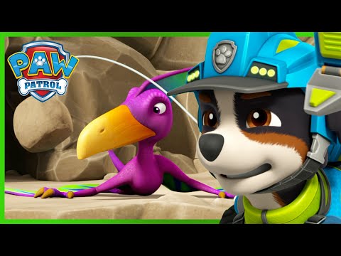 A Dínó-mentő kutyik meggyógyítják egy pterodaktilusz törött szárnyát! - Mancs Őrjárat - PAW Patrol