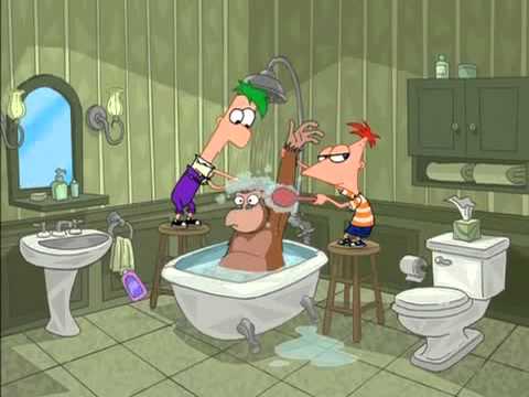 Phineas és Ferb - Főcímdal