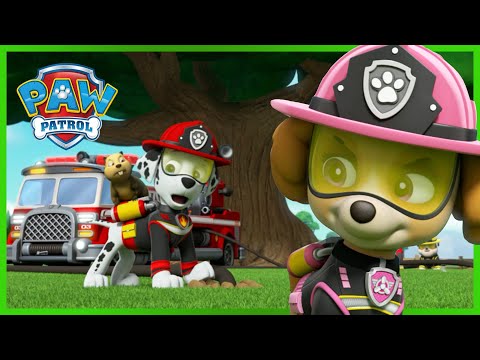 Észvesztő mentés: A megnyitó megmentése - Mancs Őrjárat - PAW Patrol epizód Magyar rajzfilmek