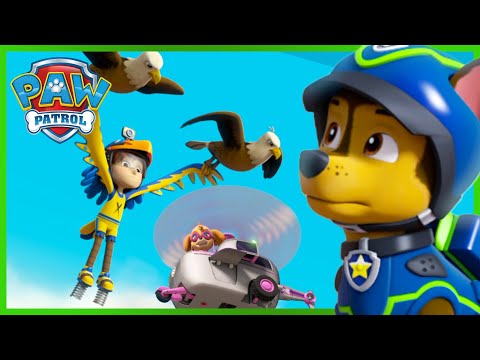 Skye és Chase megmenti Merész Danny-t egy sascsaládtól! - Mancs Őrjárat - PAW Patrol epizód Magyar