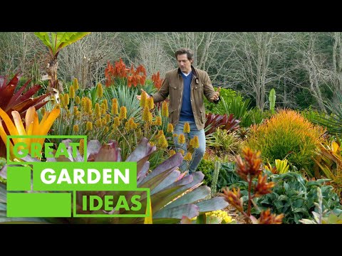 Show Stopper Garden  | GARDEN | Great Home Ideas