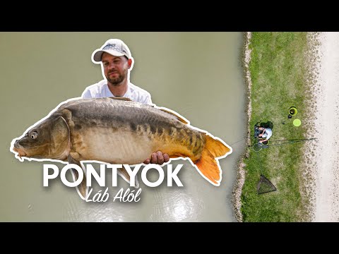 Pontyok Láb Alól - Lógatós Nyári Horgászat