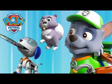 Rocky és Robo-kuty megállít egy irányíthatatlan robotjátékot! Mancs Őrjárat PAW Patrol epizód Magyar