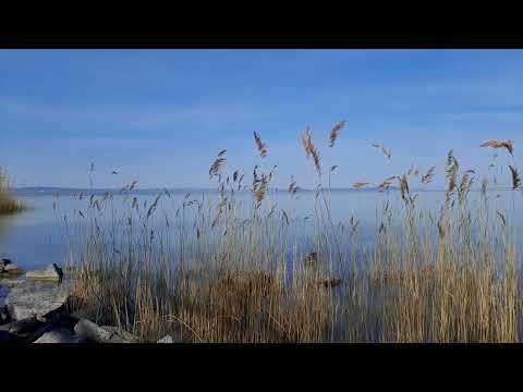 Relax Music at Lake Balaton 🎵🌅