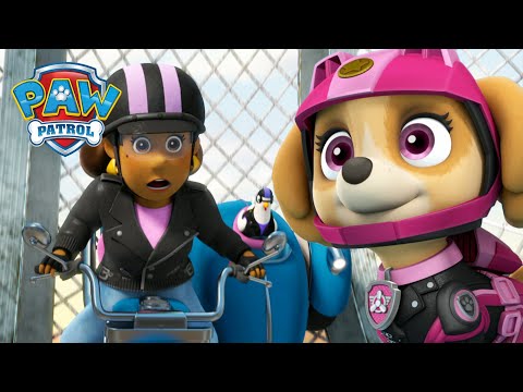 A Motokutyik megmentik Goodway polgármestert a vau vau bandától, és más! Mancs Őrjárat PAW Patrol