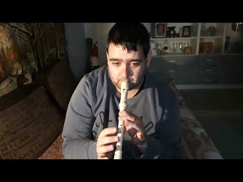 Sárközi Róbert - Mindhalálig mellettem (Zséda) Recorder cover