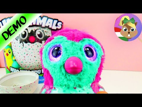 HATCHIMALS varázslatos tojás amiböl csibe kel ki! Beteg a HATCHIMAL madárka és szeretne játszani!