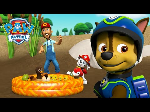 Marshall megmenti a kacsaúsztatót és még több állatmentés! - Mancs Őrjárat PAW Patrol epizód Magyar