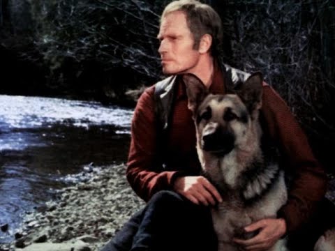 A vadon szava. Teljes Film Magyarul 1972 - Charlton Heston - Kalandfilm