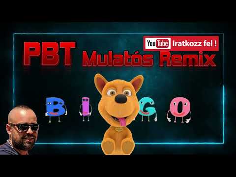 BINGO KUTYADAL | MULATÓS REMIX - Pécsi Bogdán Tesók és Csapata 2024