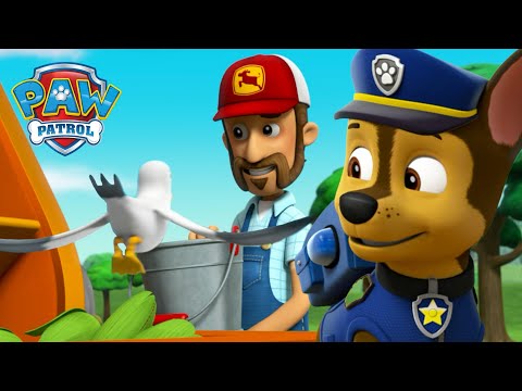 A kutyik megmentik Al gazda kukoricasilóját az éhes madaraktól! - Mancs Őrjárat - PAW Patrol epizód