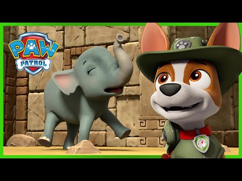 Az útvesztő fogságában - Mancs Őrjárat - PAW Patrol epizód Magyar rajzfilmek gyerekeknek