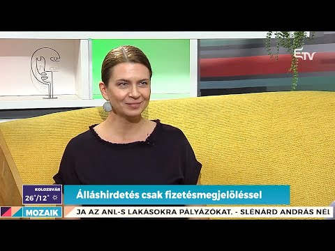 Álláshirdetés csak fizetésmegjelöléssel – Mozaik