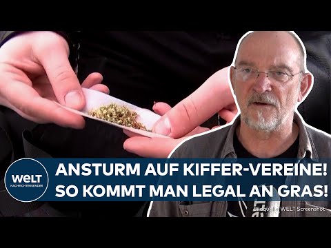 CANNABIS SOCIAL CLUBS: Regeln für Kiffer – So kommt man künftig legal an Gras!