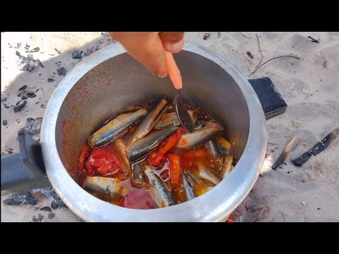 SARDINHA NA PANELA DE PRESSÃO... PESCAMOS MAIS DE 50 KILOS.