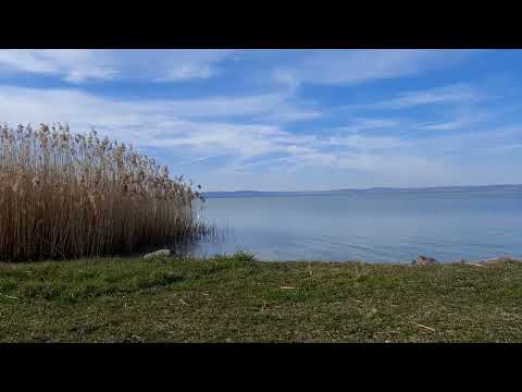 1 Hour🕐🎵 Relax Music for Sleeping with the Lake Balaton 💤⛵