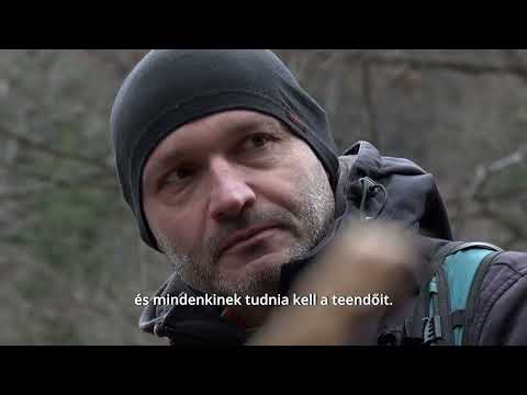 Erdő nélkül nincs Erdély [ Dokumentum film ]