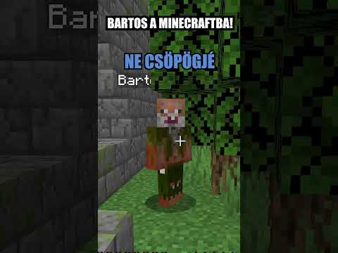 BARTOS A MINECRAFTBAN?😱🧔 #magyar #vicces #minecraft