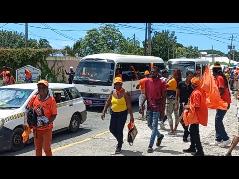 Pnp Conference 2024/ Live Broadcast Now/ #election #pnp #political #Jamaican #Conference #tvj #cvm