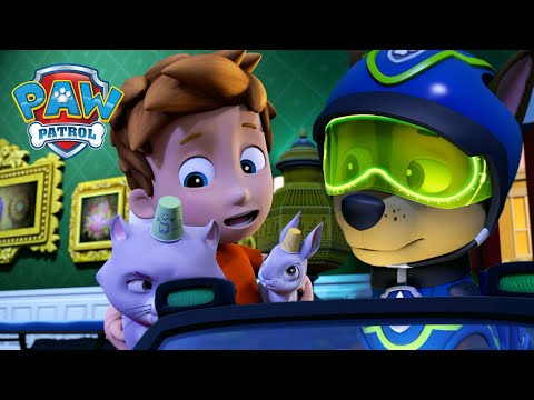 Chase kém megmenti Alex mini őrjáratát, és még sok más! - Mancs Őrjárat - PAW Patrol epizód Magyar