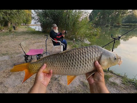 Izsáki horgász- és Pihenőpark. Családi horgászat második felvonás.