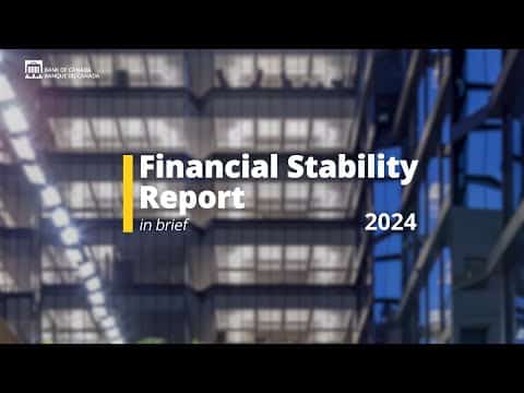 Financial Stability Report 2024 – In Brief