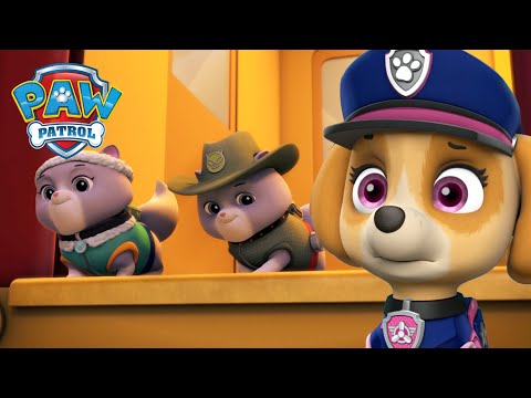 Észvesztő mentés: A Királyi Cicusok megmentése! - Mancs Őrjárat PAW Patrol epizód Magyar rajzfilmek