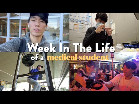 Week in the Life of an Australian Medical Student | Curtin University