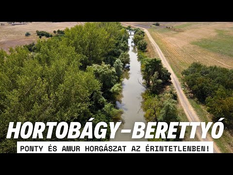 Amur és ponty horgászat az érintetlenben! (Hortobágy-Berettyó) #fishing