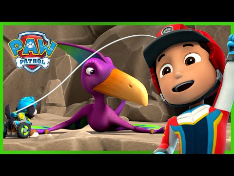 Dínó-mentők: A pterodaktilus megmentése - Mancs Őrjárat - PAW Patrol epizód Magyar