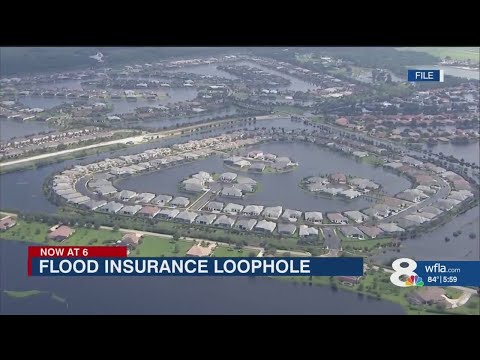 Pinellas family blames loophole in National Flood Insurance Policy for coverage denial