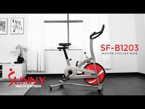 Sunny Health & Fitness SF-B1203 Indoor Cycling Bike