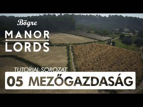 Földművelés és ipar | Manor Lords magyar tutorial sorozat #5