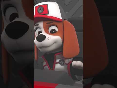 A Kamionos kutyik mentenek egy zuhanó műholdat! - #PAWPatrol #shorts Hungary