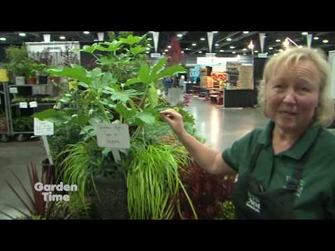 Garden Time at the Fall Home and Garden Show - 2018